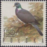 Poland 1970 Gamebirds-Stamps-Poland-StampPhenom