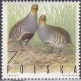 Poland 1970 Gamebirds-Stamps-Poland-StampPhenom