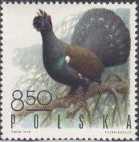 Poland 1970 Gamebirds-Stamps-Poland-StampPhenom