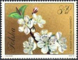 Poland 1971 Flowering Trees-Stamps-Poland-StampPhenom