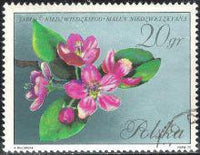 Poland 1971 Flowering Trees-Stamps-Poland-StampPhenom