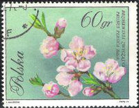 Poland 1971 Flowering Trees-Stamps-Poland-StampPhenom