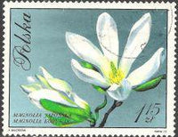 Poland 1971 Flowering Trees-Stamps-Poland-StampPhenom