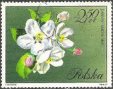 Poland 1971 Flowering Trees-Stamps-Poland-StampPhenom