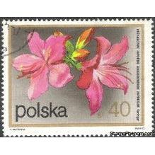 Poland 1972 Flowering Shrubs