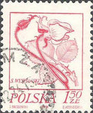 Poland 1974 Flower Drawings-Stamps-Poland-StampPhenom