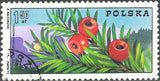 Poland 1975 Mountain Guide Organisation, Centenary-Stamps-Poland-StampPhenom