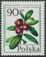 Poland 1977 Forest Fruits-Stamps-Poland-StampPhenom