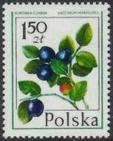 Poland 1977 Forest Fruits-Stamps-Poland-StampPhenom