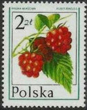 Poland 1977 Forest Fruits-Stamps-Poland-StampPhenom