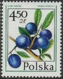 Poland 1977 Forest Fruits-Stamps-Poland-StampPhenom