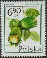 Poland 1977 Forest Fruits-Stamps-Poland-StampPhenom