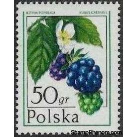 Poland 1977 Forest Fruits