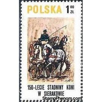 Poland 1980 Horse Riding in Sieraków