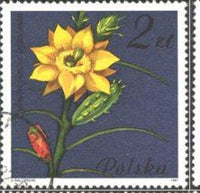 Poland 1981 Succulent Flowers-Stamps-Poland-StampPhenom