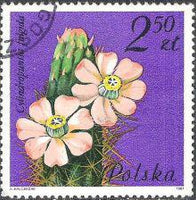 Poland 1981 Succulent Flowers-Stamps-Poland-StampPhenom