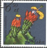 Poland 1981 Succulent Flowers-Stamps-Poland-StampPhenom