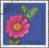 Poland 1981 Succulent Flowers-Stamps-Poland-StampPhenom