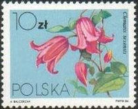 Poland 1984 Clematis Flowers-Stamps-Poland-StampPhenom