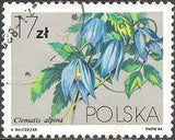 Poland 1984 Clematis Flowers-Stamps-Poland-StampPhenom