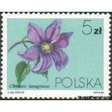 Poland 1984 Clematis Flowers