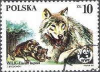 Poland 1985 Protected Animals - The Wolf-Stamps-Poland-StampPhenom