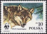 Poland 1985 Protected Animals - The Wolf-Stamps-Poland-StampPhenom