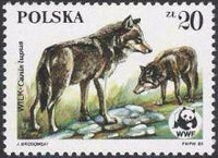 Poland 1985 Protected Animals - The Wolf-Stamps-Poland-StampPhenom