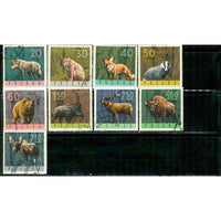 Poland Animals , 9 stamps