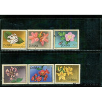 Poland Flowers Lot 6 , 6 stamps