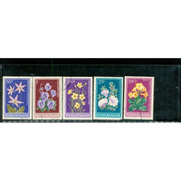 Romania Flowers Lot 7 , 5 stamps