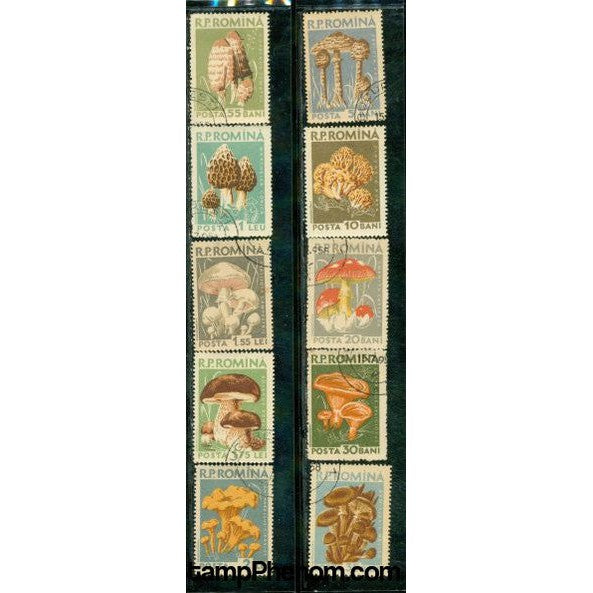 Romania Mushrooms Lot 2 , 10 stamps