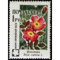 Russia 1960 Dog Rose (Rosa canina) - Russia-1960-Dog-Rose-Rosa-canina