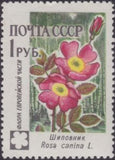 Russia 1960 Dog Rose (Rosa canina) - Russia-1960-Dog-Rose-Rosa-canina