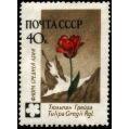 Russia 1960 Tulip (Tulipa Gregii) - Russia-1960-Tulip-Tulipa-Gregii