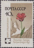 Russia 1960 Tulip (Tulipa Gregii) - Russia-1960-Tulip-Tulipa-Gregii