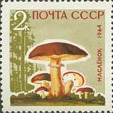 Russia 1964 Butter Mushroom (Boletus luteus) - Russia-1964-Butter-Mushroom-Boletus-luteus