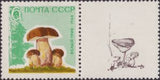 Russia 1964 Cep (Boletus edulis) - Russia-1964-Cep-Boletus-edulis
