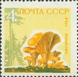 Russia 1964 Chanterelle (Cantharellus cibarius) - Russia-1964-Chanterelle-Cantharellus-cibarius