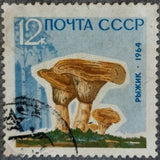 Russia 1964 Saffron Milk Cap (Lactarius deliciosus) - Russia-1964-Saffron-Milk-Cap-Lactarius-deliciosus