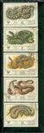 Russia Snakes Lot 2 , 5 stamps