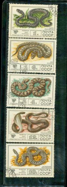 Russia Snakes , 5 stamps