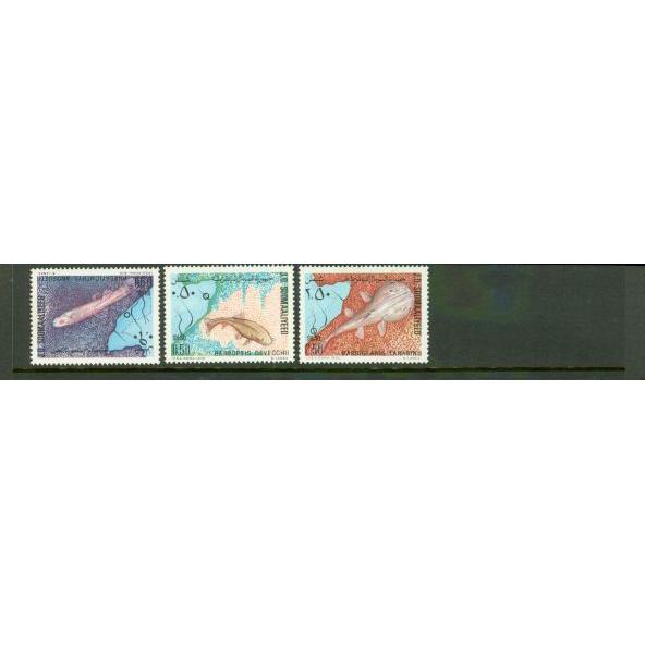 Somalia Fishes , 3 stamps - Somalia Fishes , 3 stamps