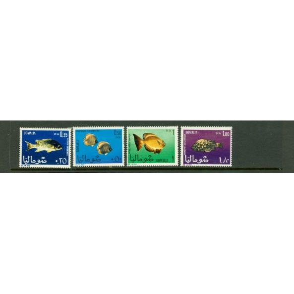 Somalia Fishes , 4 stamps - Somalia Fishes , 4 stamps