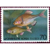 South Korea 1985 Fish (first series)