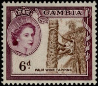 Gambia 1953 Tapping for palm wine