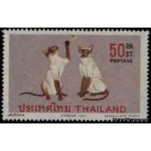 Thailand 1971 Siamese Cats