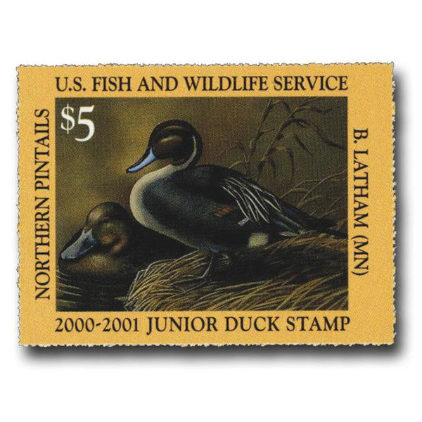 United States of America 2000 $5 Northern Pintails Junior Duck Stamp-United States of America-StampPhenom
