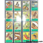 Umm Al Qiwain Insects, Lot 3-Stamps-Umm Al Qiwain-StampPhenom