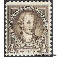 United States of America 1932 Washington Bicentennial Issue-Stamps-United States of America-Mint-StampPhenom